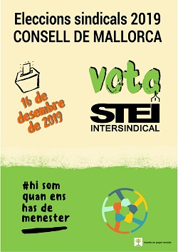 Eleccions Consell Cartell Petit